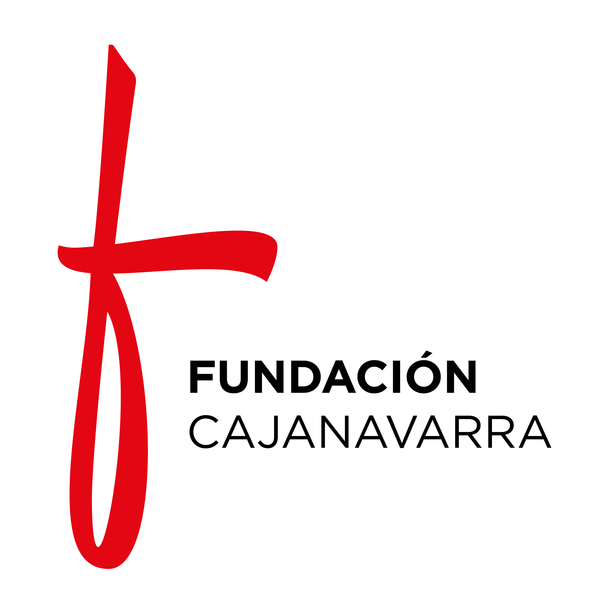 Fundación Caja Navarra